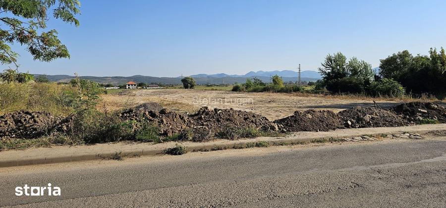 Teren intravilan 6600 m2 cu PUZ