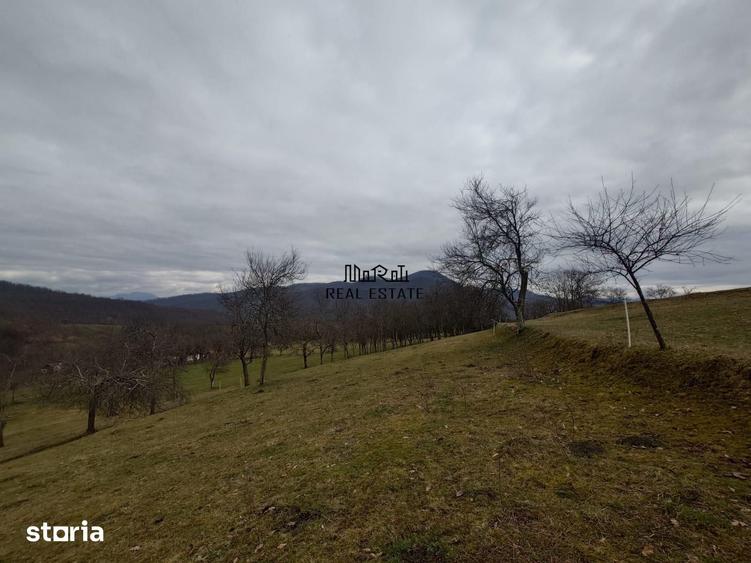 Teren de 11423 mp, în Luncoiu de Jos