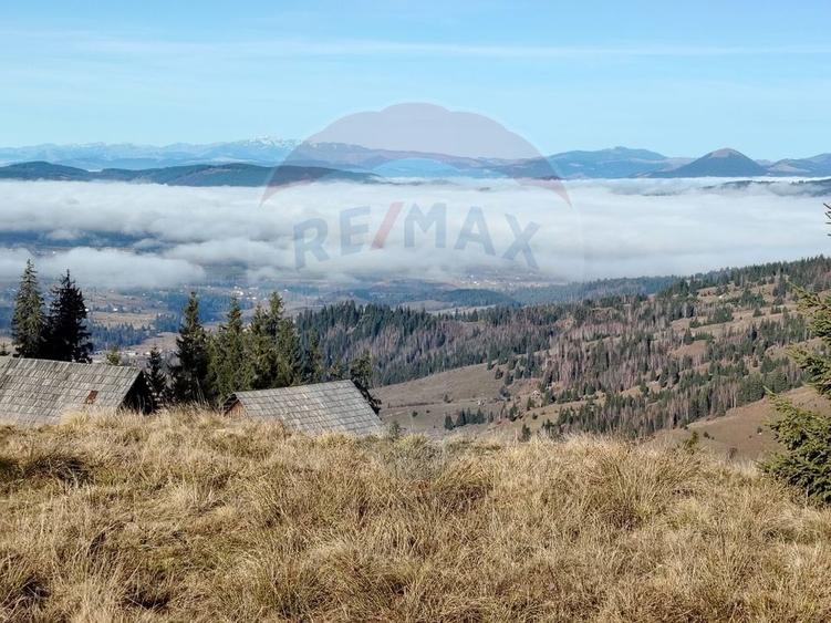 Teren 31,461mp Panaci / Prelungirea Ialovita - 11