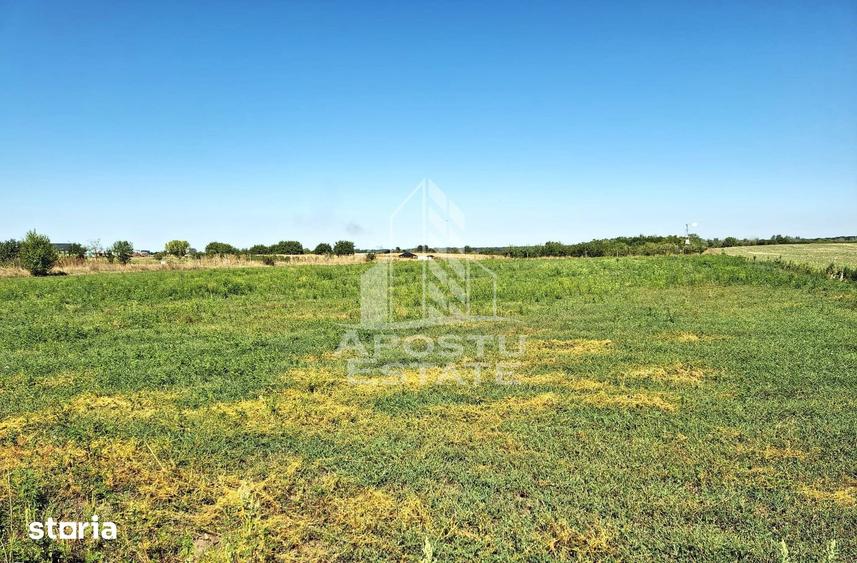Teren de 6150 mp, în Zădăreni