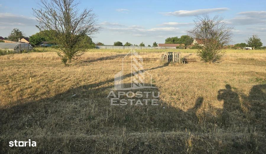 Teren de 800 mp, în Curtici