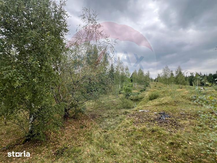 Teren extravilan parcelabil Cala?ele Padure, zona Dealu Negru - 7