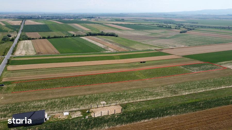Teren de 7575 mp, în Viile Satu Mare