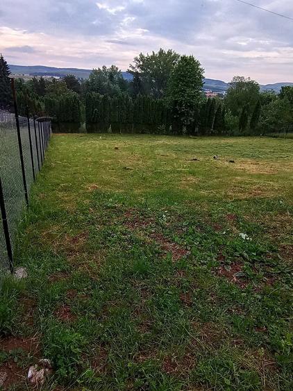Teren de 1160 mp, în Gilău