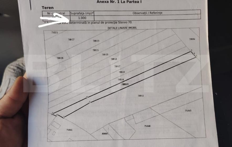 Teren Construcții de 1000 mp, în Teiș