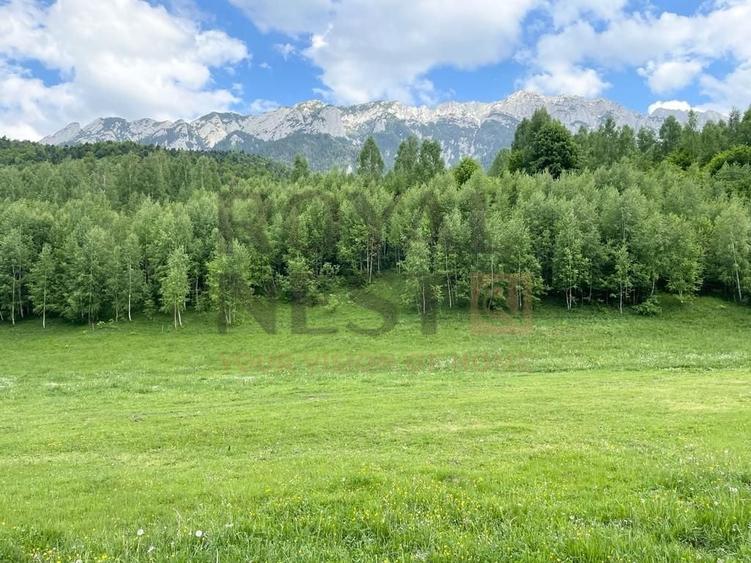 Teren Construcții intravilan de 12150 mp, în Plaiul Foii