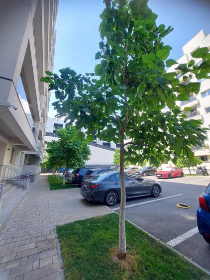 Garsonieră decomandată în Berceni