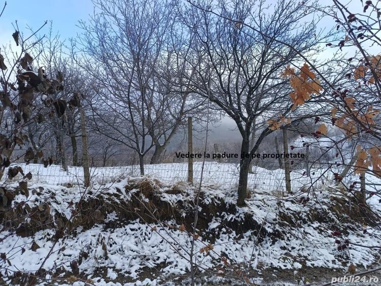 Teren de 2500 mp, în Dealu Cucului