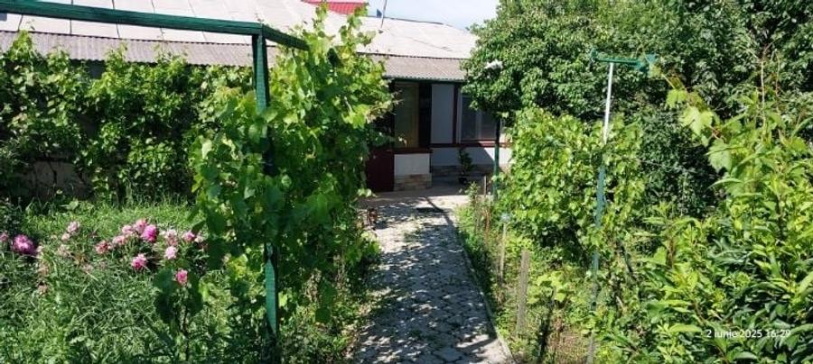 Casa langa bucuresti la sosea 1600mp  100 metri de DN6/E70 30km de pta. unirii - 6