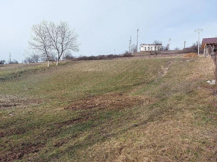 Teren de 1305 mp, în Valea Crișului