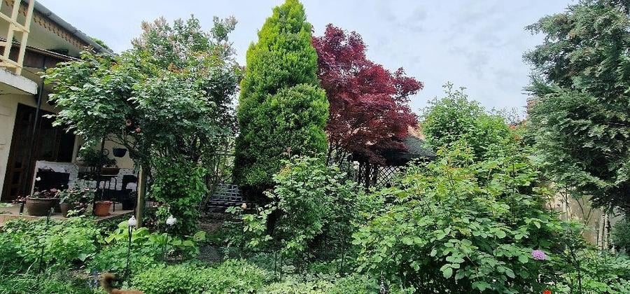 Casă cu 5 camere cu Teren 553 Mp în Bălcescu