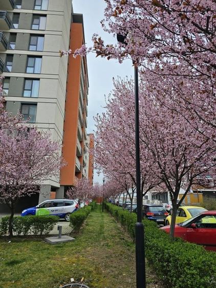 Apartament nou,ocupabil imediat.Dezvoltator. - 2