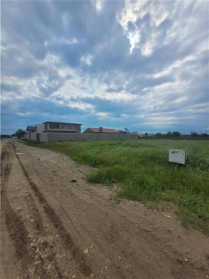 Teren Intravilan, Construibil, Ovidiu, Spre Poiana, lot de 302 mp - 2