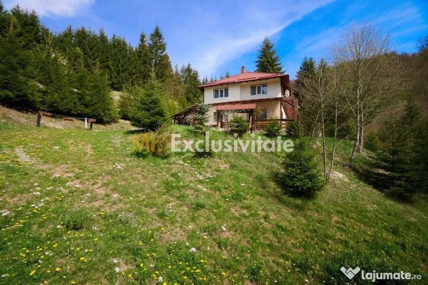 Casă cu 5 camere cu Teren 6412 Mp în Dâmbovicioara
