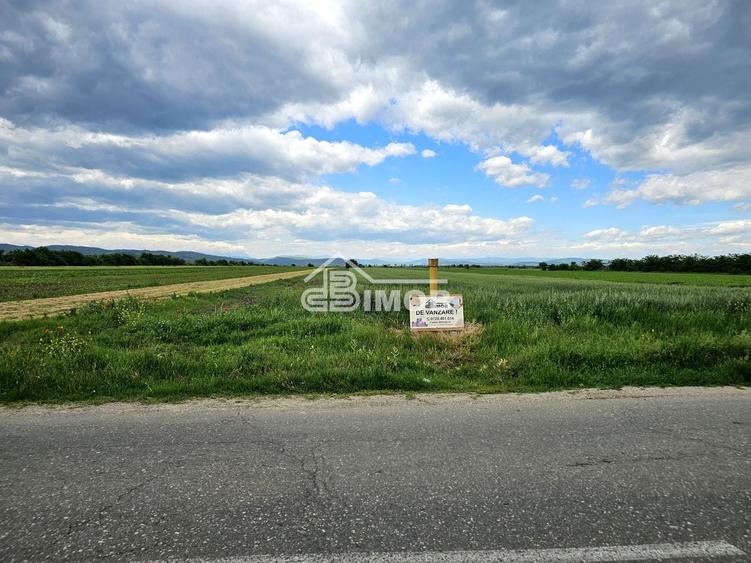 Teren agricol extravilan de 2500 mp, în Filipeștii de Târg