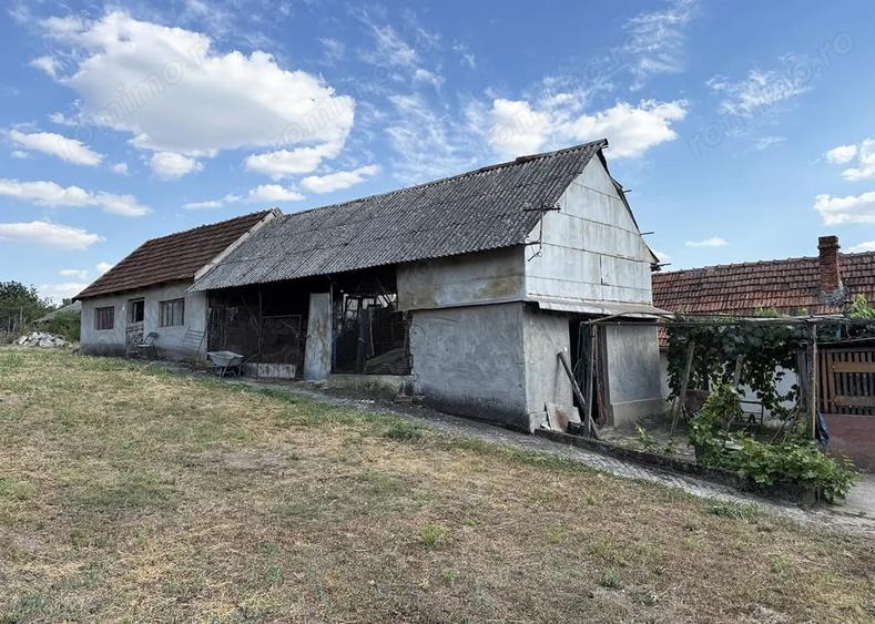 Casă cu 3 camere cu Teren 8000 Mp în Cetariu