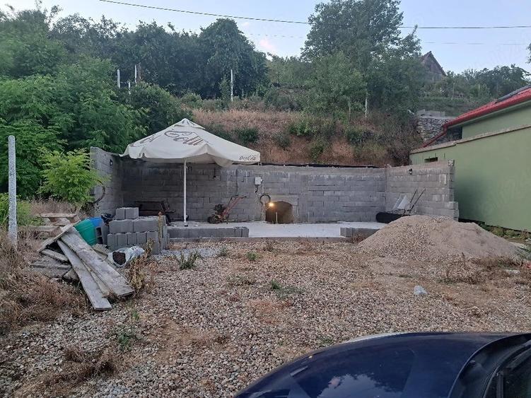 Teren de 1300 mp, în Tileagd