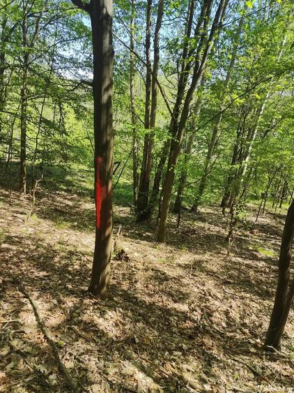 Teren de 4000 mp, în Mădulari