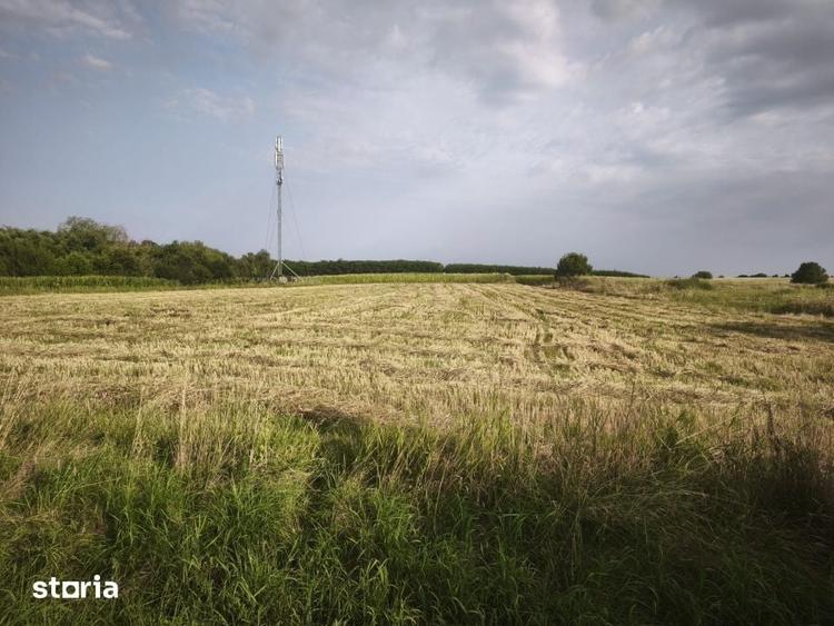 Teren de 5020 mp, în Bălcăuți