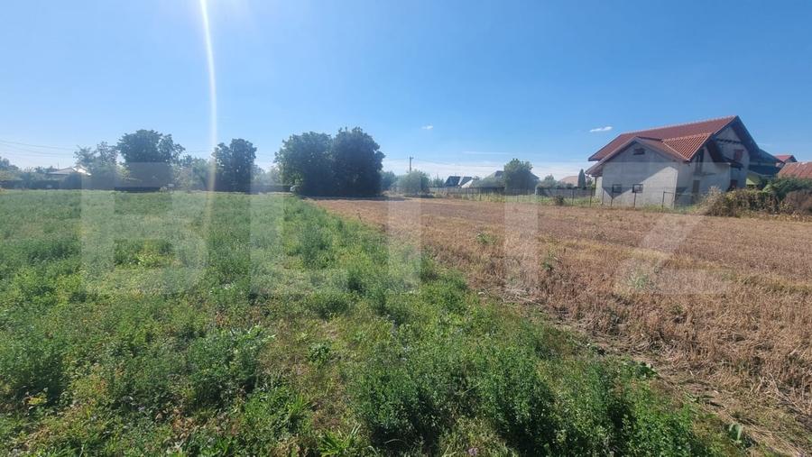 Teren Construcții intravilan de 3200 mp, în Târgșoru Vechi