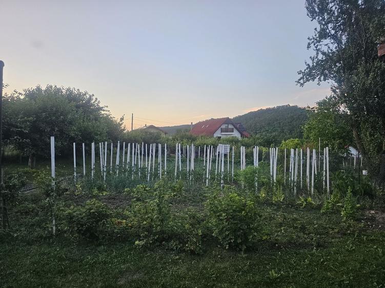 Casă cu 4 camere în Exterior Vest