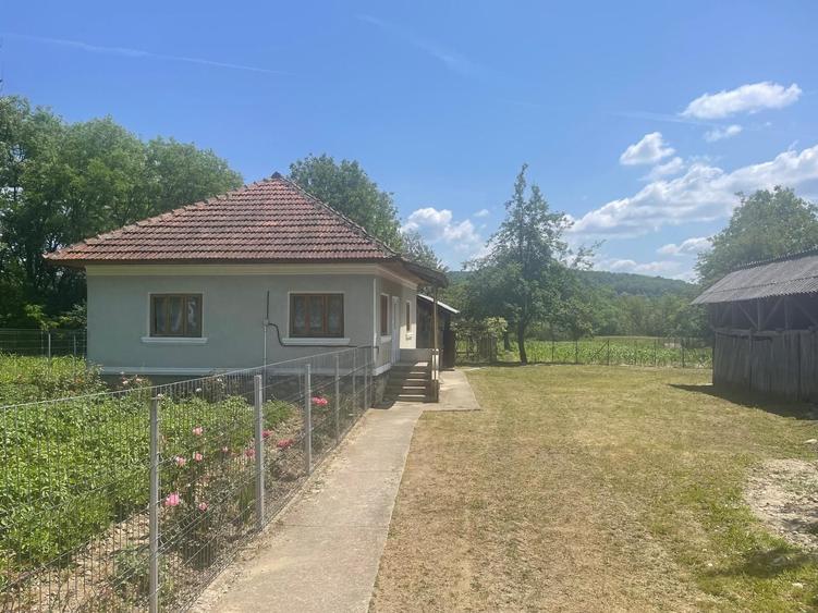 Casă cu 2 camere în Alimpești