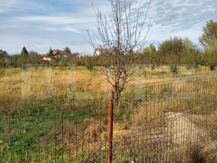 Teren Construcții intravilan de 1400 mp, în Bercu Roșu