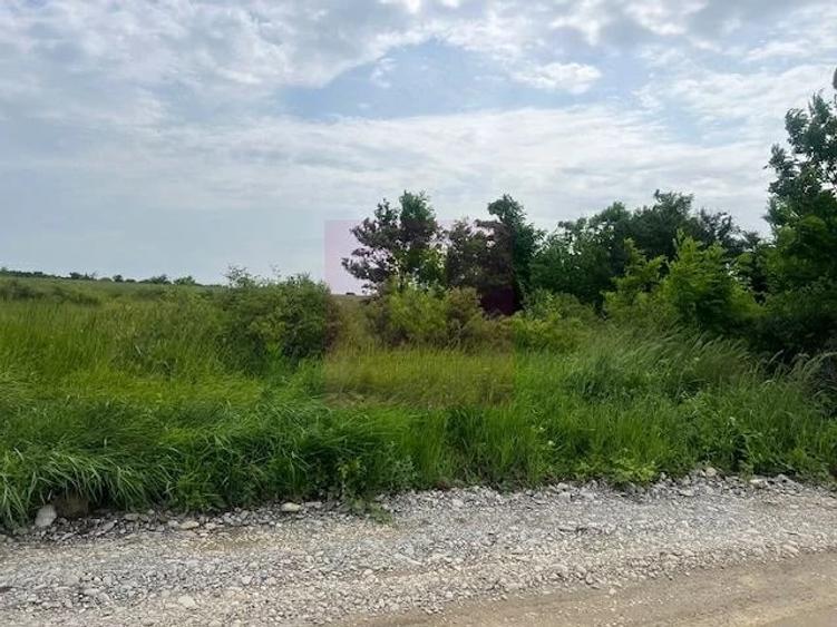 Teren de 5444 mp, în Săftica