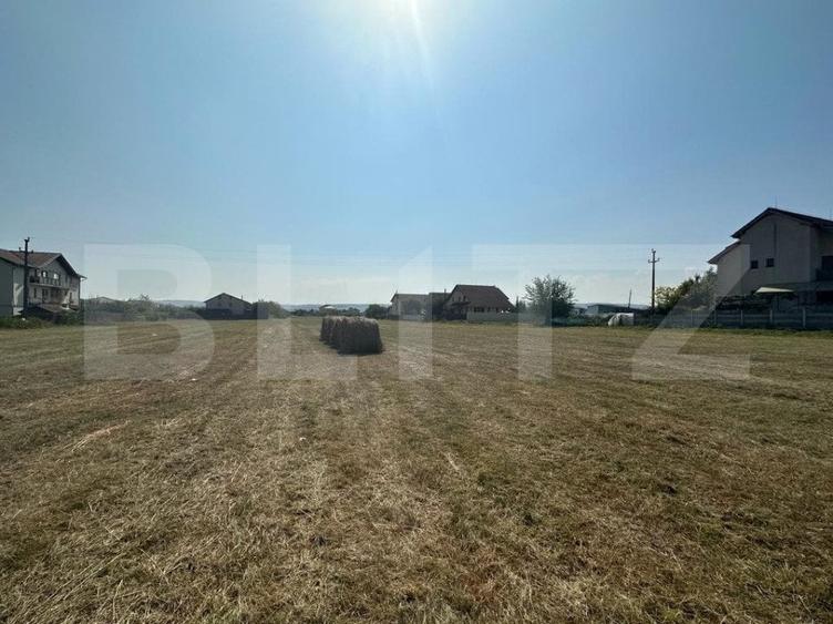 Teren Construcții intravilan de 9873 mp, în Cetate