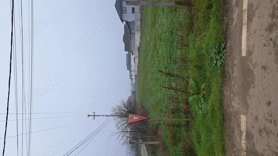 Teren de 5000 mp, în Preajba