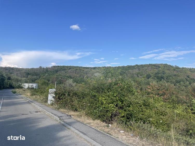 Teren de 1000 mp, în Topoloveni