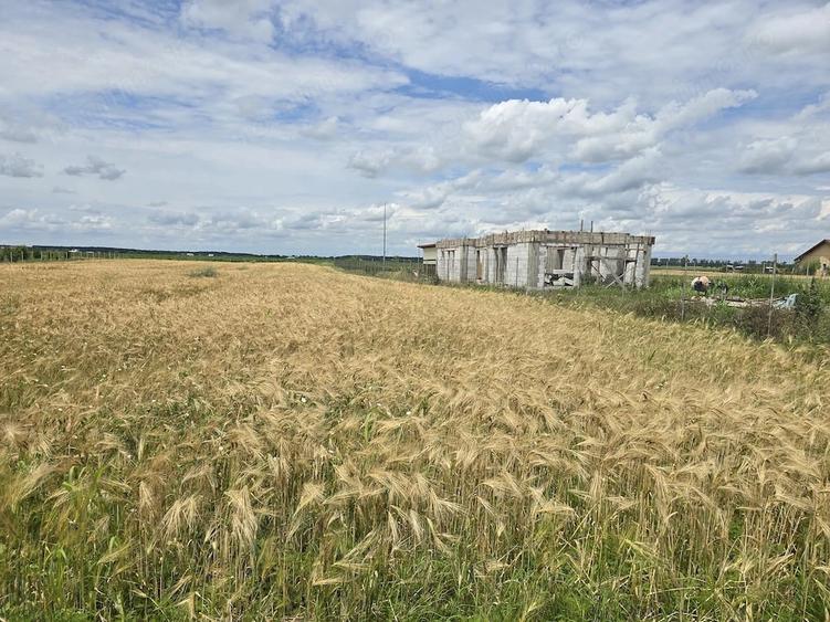 Teren de 1600 mp, în Creața