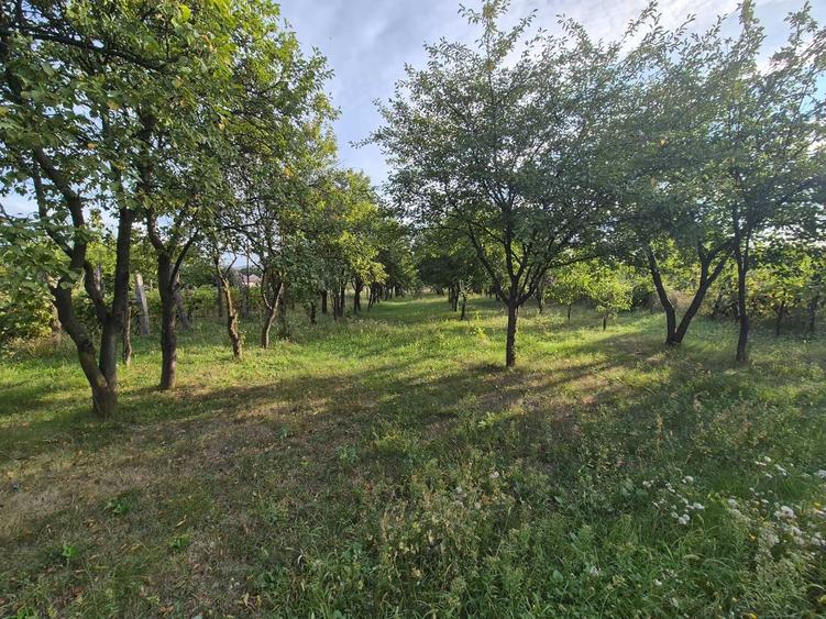 Casă cu 2 camere în Pârâu Boghii
