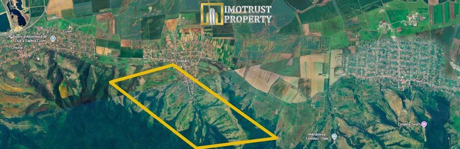 Teren agricol de vânzare 17,51 ha Covăsânț – 7.000 €/ha - 4