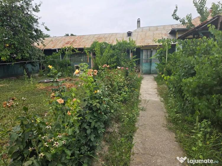 Casă cu 5 camere în Mavrodin