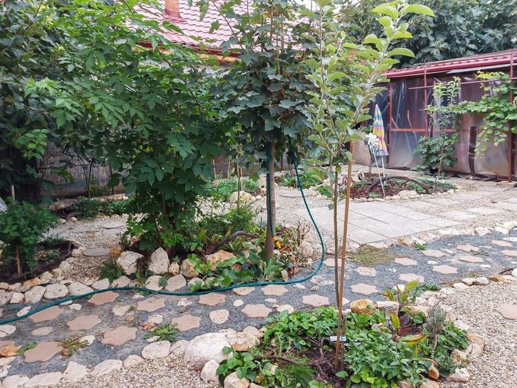 Duplex cu 4 camere cu Canalizare în Eforie Sud