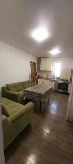 Casă cu 2 camere cu Teren 650 Mp în Peciu Nou