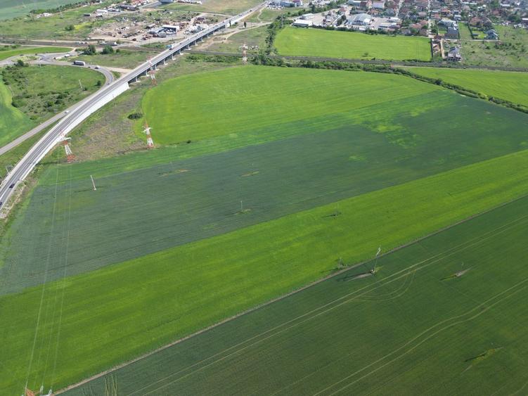 Teren agricol extravilan de 28089 mp, în Nord