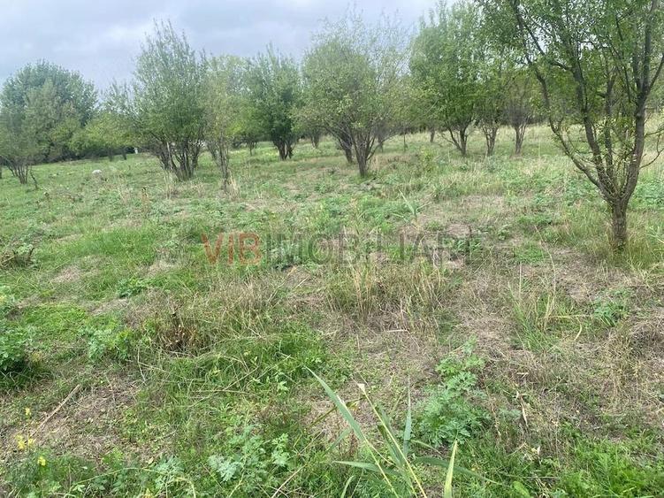 Teren de 8100 mp, în Mărtinești