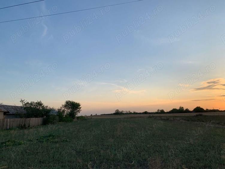 Teren de 2500 mp, în Copaciu