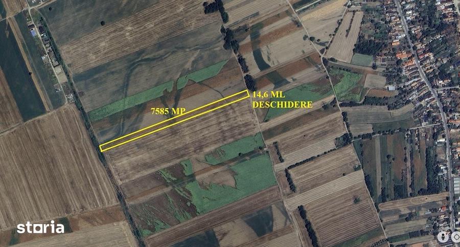 Teren de 54087 mp, în Slătioara