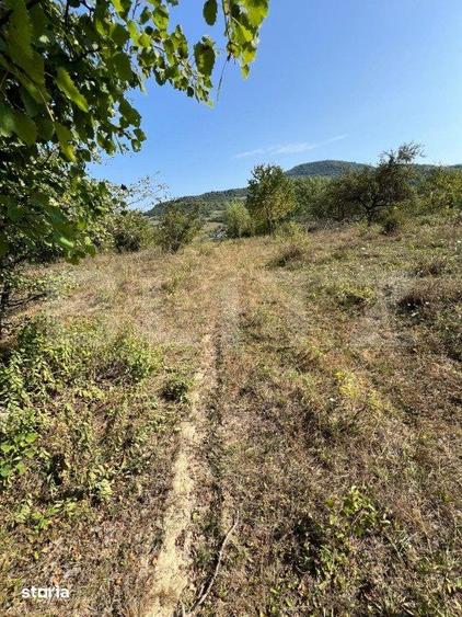 Teren extravilan, 15 arii, pretabil pentru investitii, construibil - 3