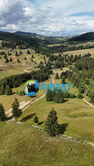 Teren agricol extravilan de 5000 mp, în Piatra Fântânele