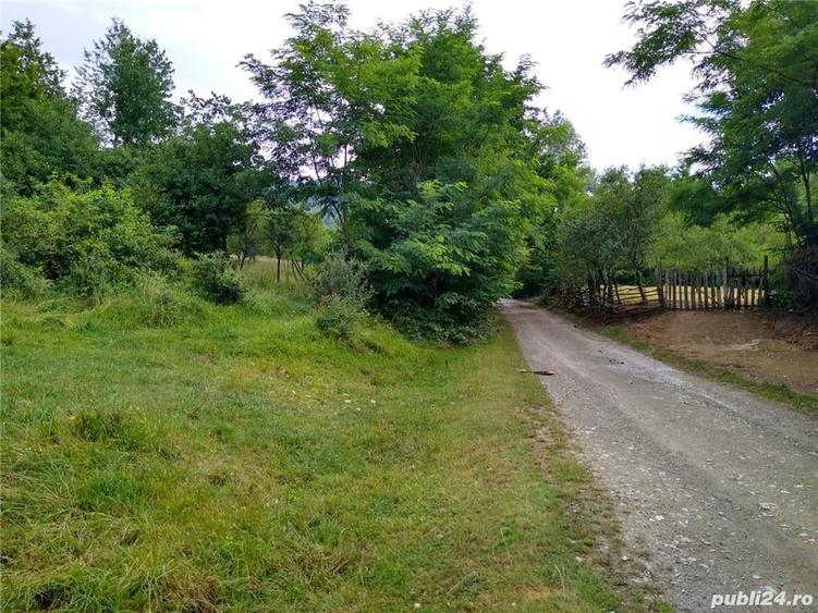 Teren de 4700 mp, în Romos