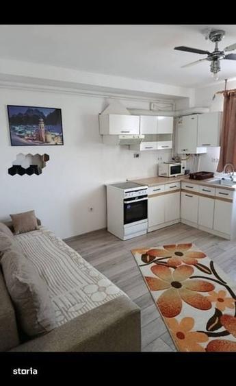 Garsonieră în Valea Borcutului
