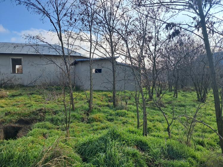 Casă individuală cu 4 camere cu Teren 1634 Mp în Vasile Alecsandri