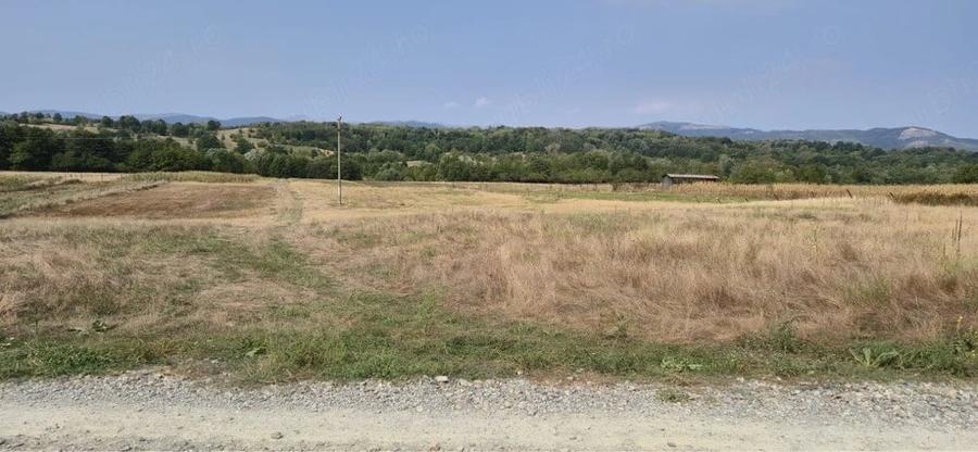Teren de 4600 mp, în Bumbești-Pițic
