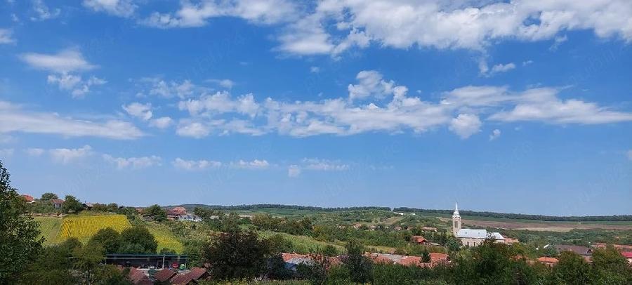 Casa cu gradina de 4000 mp in Carastelec - 1