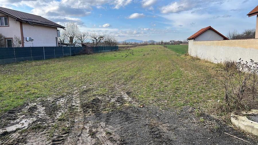 Teren Construcții intravilan de 3600 mp, în Stupinii Prejmerului