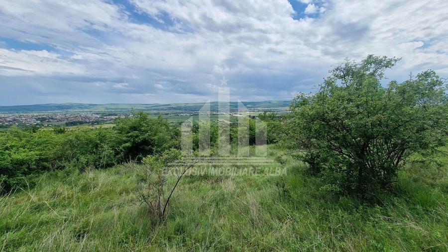 Teren agricol extravilan de 1400 mp, în Pâclișa